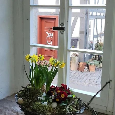 No 11 In Der Altstadt 160 Qm 5 Pers 別荘