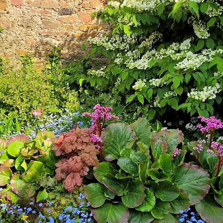 別荘 No 11 In Der Altstadt 160 Qm 5 Pers *