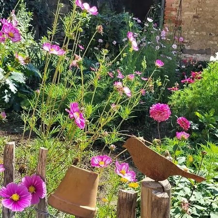 別荘 No 11 In Der Altstadt 160 Qm 5 Pers